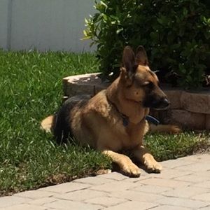 Meet your Posher, Julie